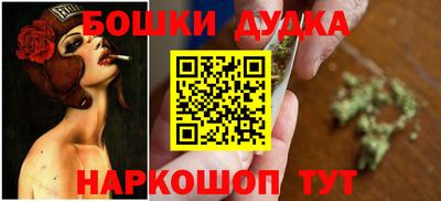 альфа пвп Новодвинск