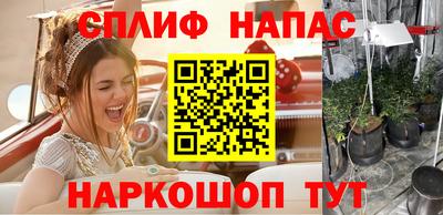 амф Новокубанск