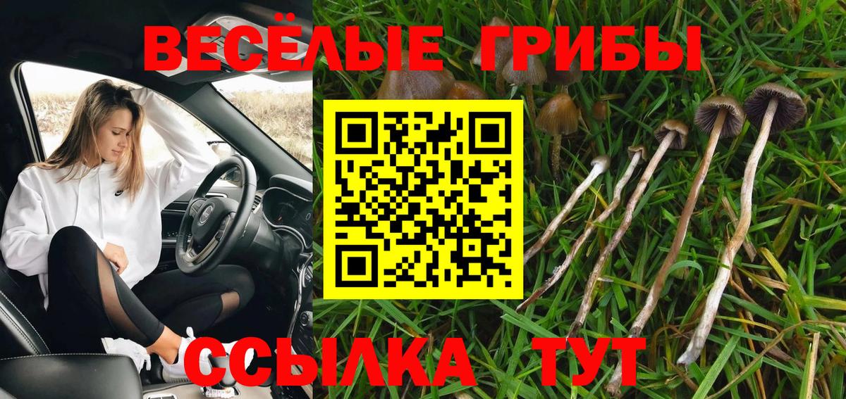 Галлюциногенные грибы MAGIC MUSHROOMS  Псилоцибиновые грибы ЛСД  Вход с VPN  Рославль 