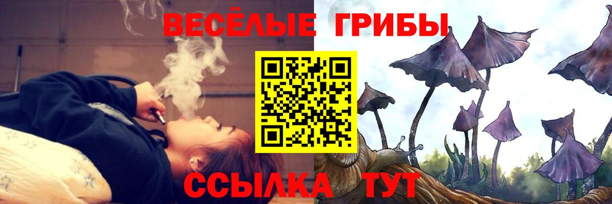 Галлюциногенные грибы прущие грибы Рославль